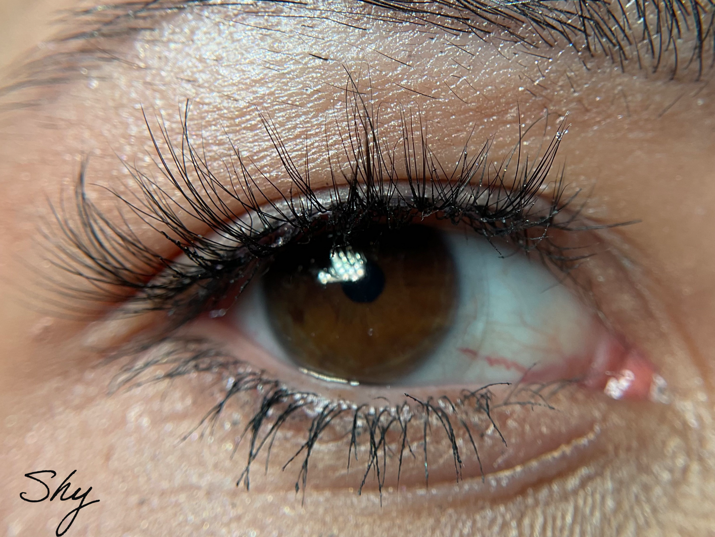 "she is..." synthetic silk lashes