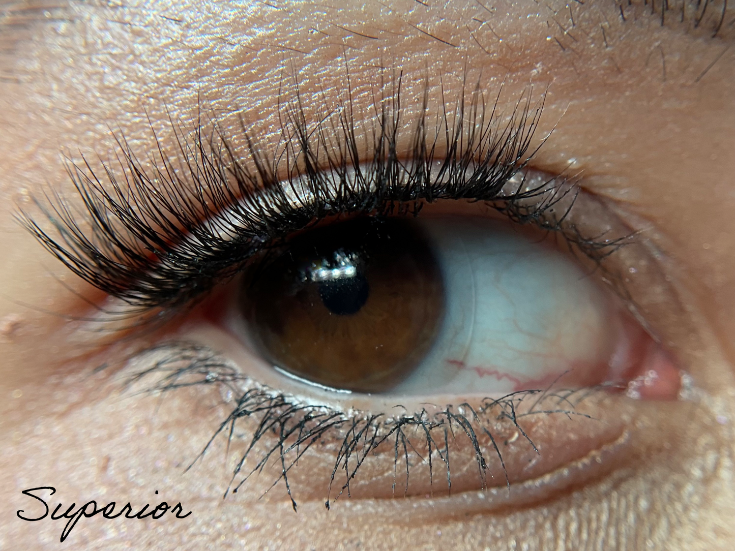 "she is..." synthetic silk lashes