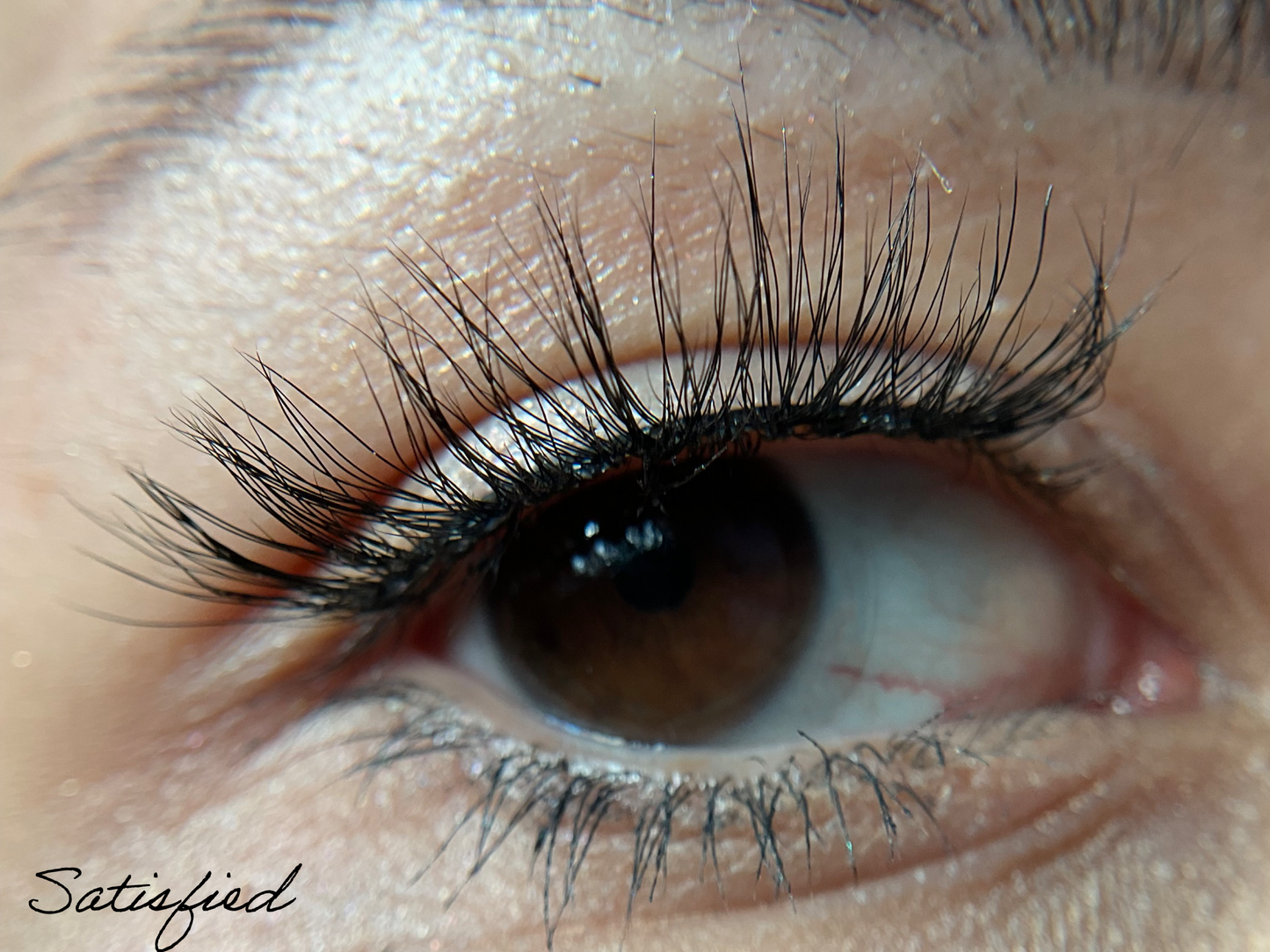 "she is..." synthetic silk lashes