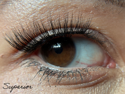 "she is..." synthetic silk lashes